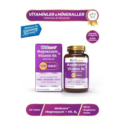 Wellcare Magnezyum Vitamin B6 200/10MG 120 Tablet