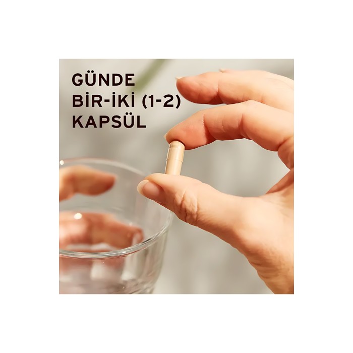 Solgar Reishi Shiitake Maitake Mushroom Extract 50 Bitkisel Kapsül Solgar Reishi Shiitake Maitake Mushroom Extract 50 Bitkisel Kapsül