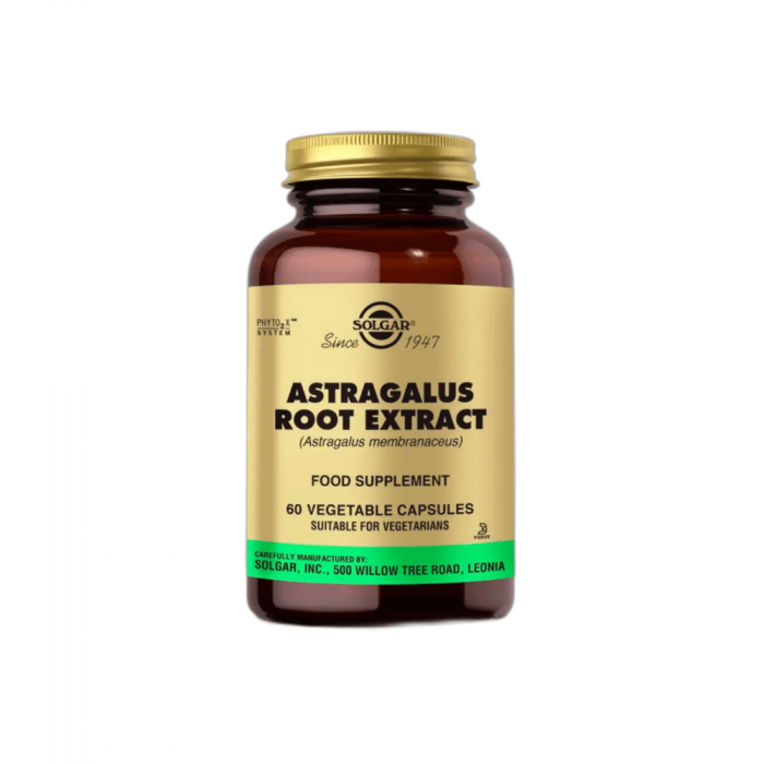 Solgar Astragalus Root Extract 60 Kapsül