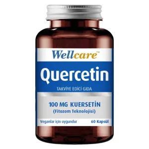 Wellcare Quercetin 100 mg 60 Kapsül
