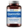 Wellcare Quercetin 100 mg 60 Kapsül Wellcare Quercetin 100 mg 60 Kapsül
